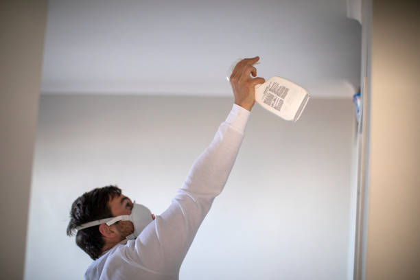 Best Attic Mold Remediation in Berino, NM