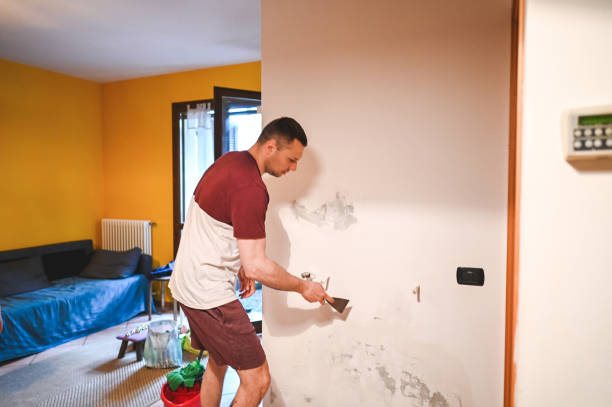 Best Mold Remediation for Specific Building Types in Berino, NM